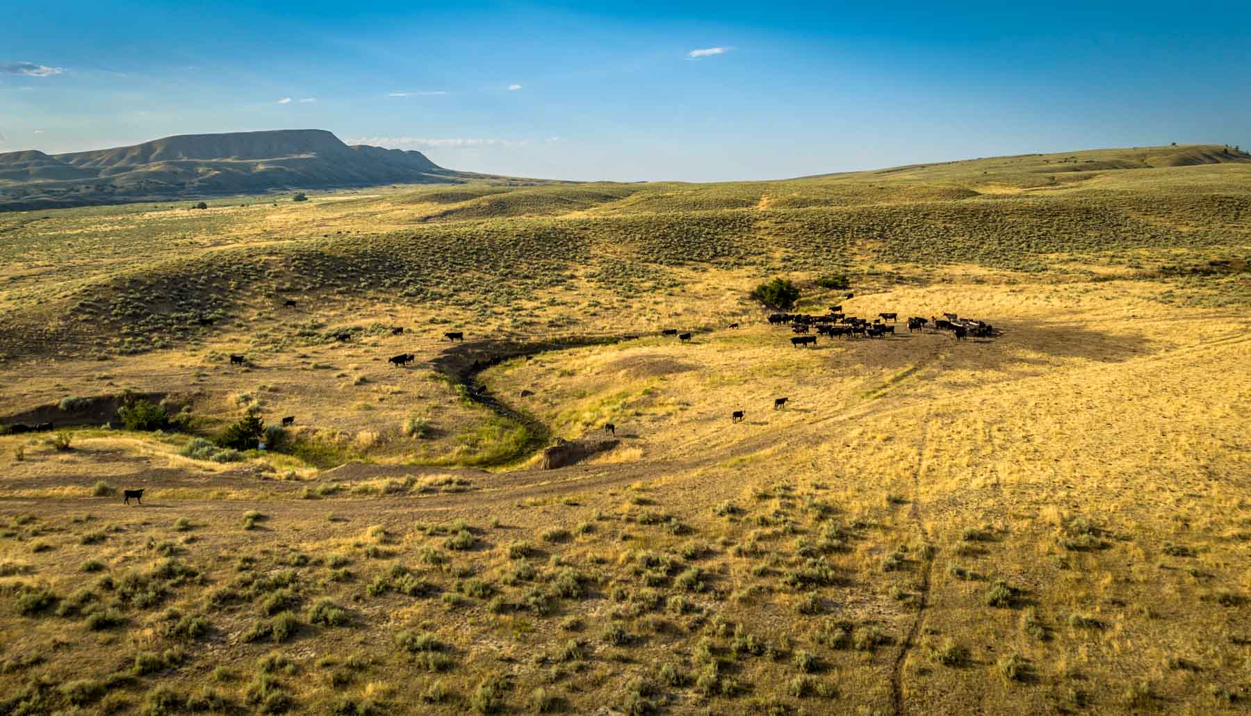 Home Place Ranch property picture 2 of 31