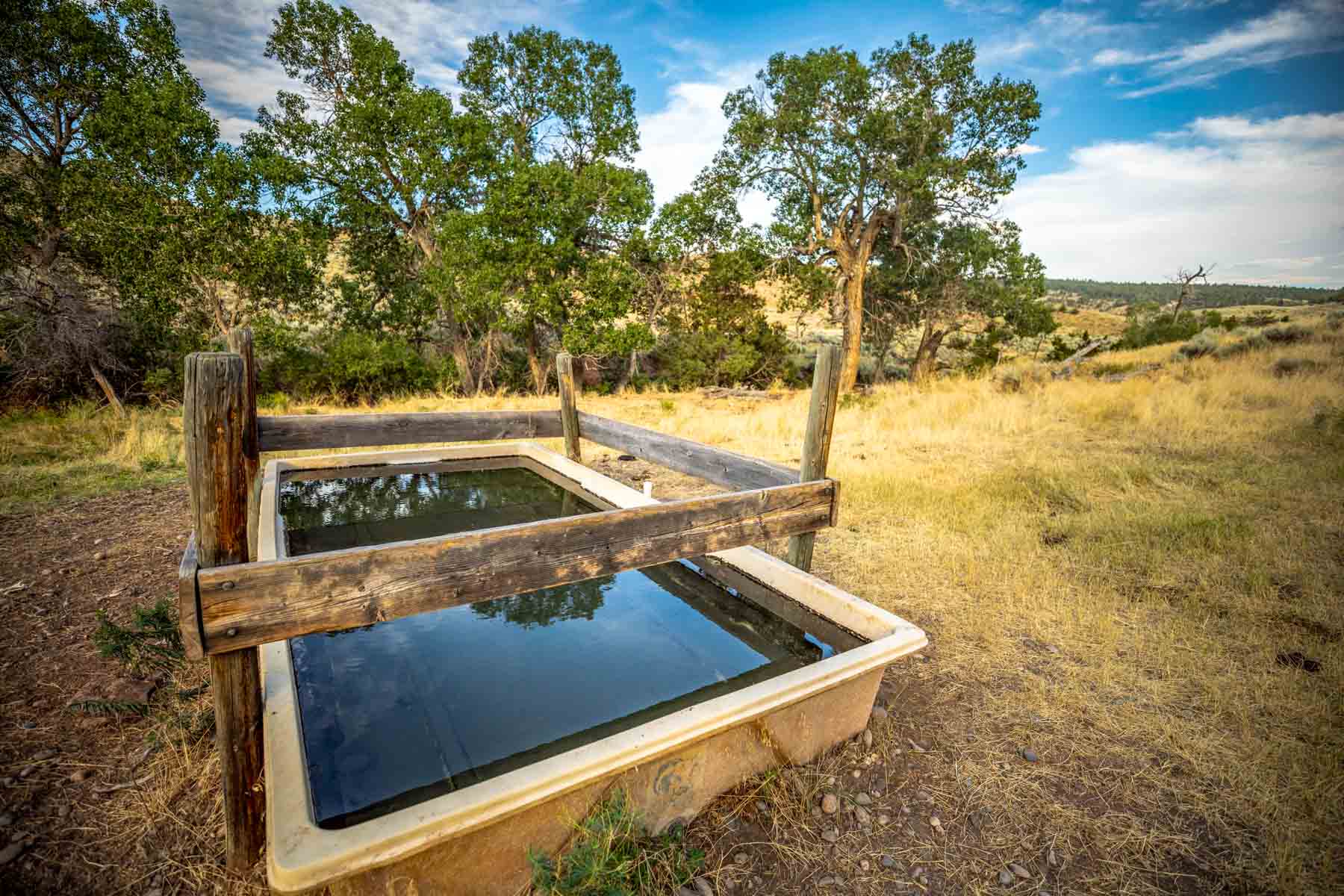 Home Place Ranch property picture 7 of 31