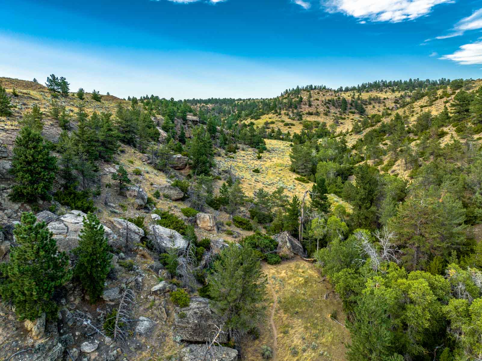 Home Place Ranch property picture 23 of 31