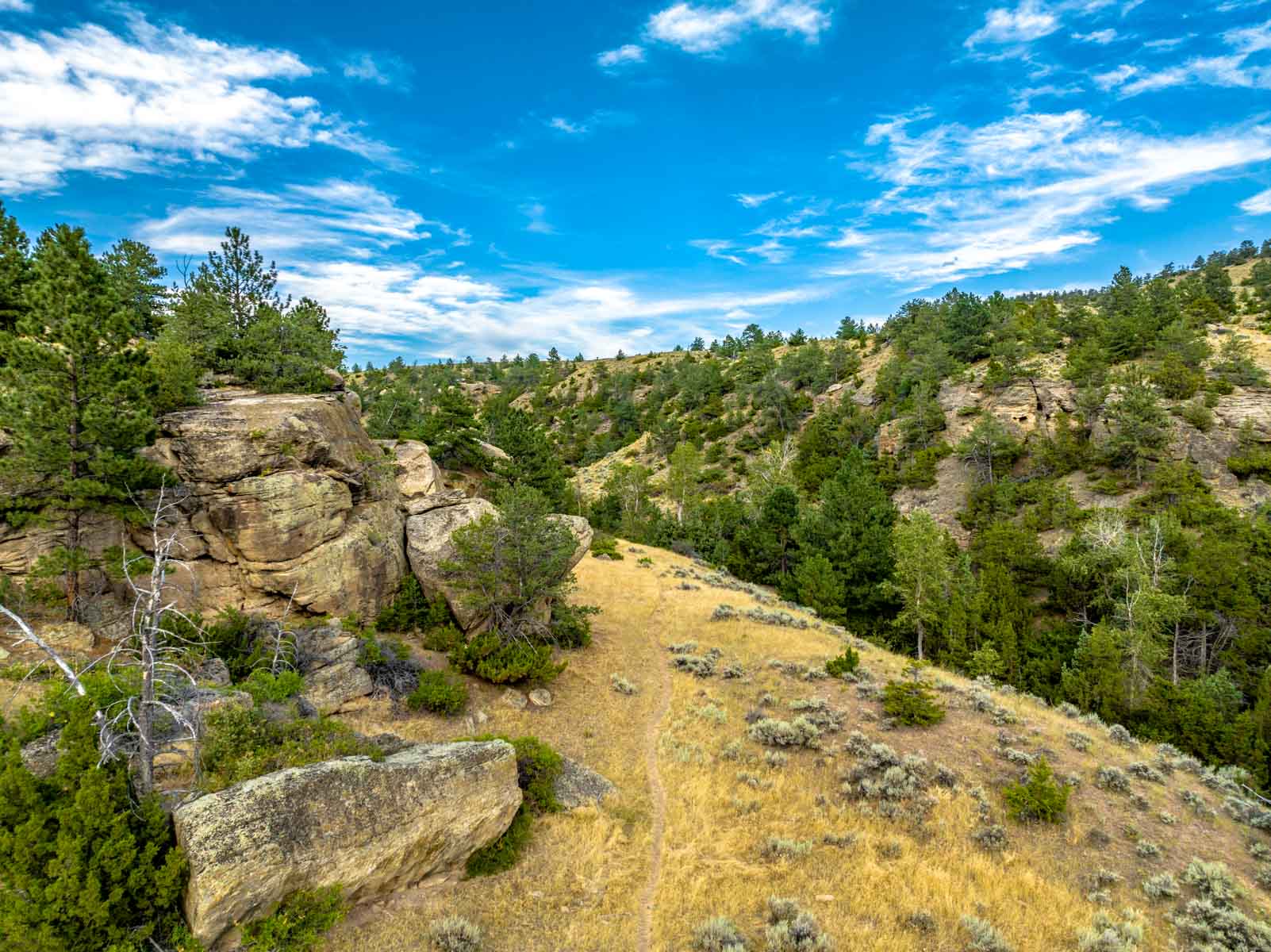 Home Place Ranch property picture 24 of 31