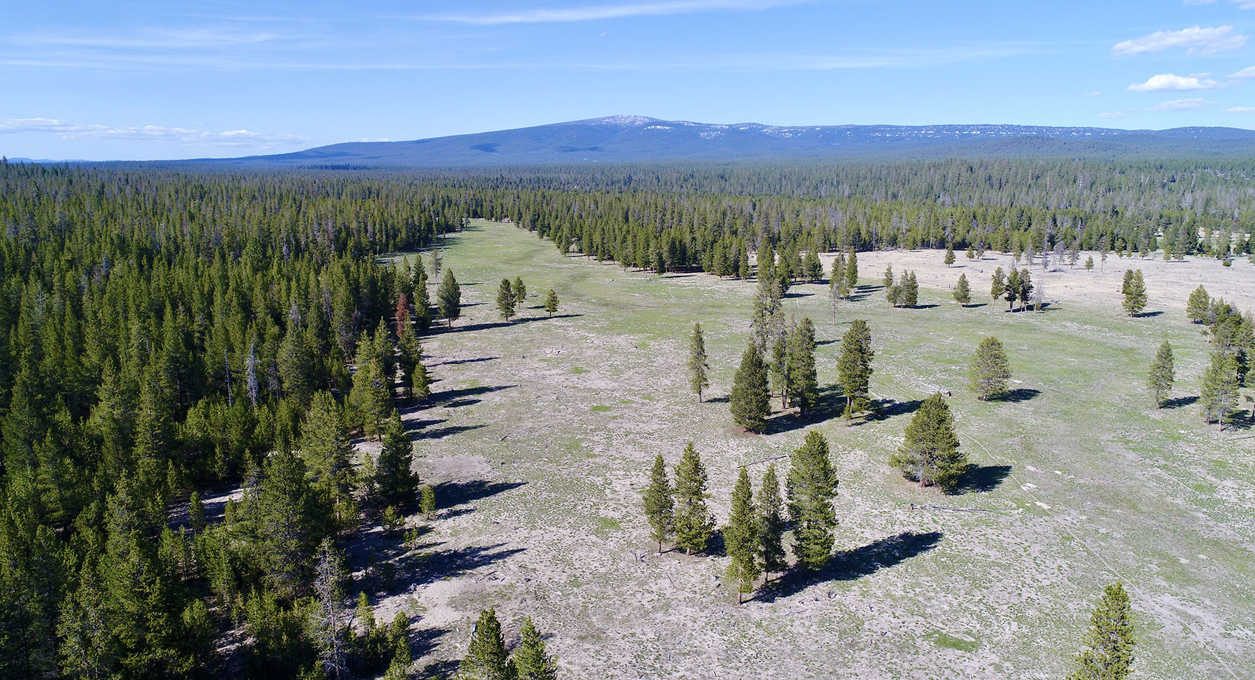 Sand Creek Ranch property picture 64 of 77