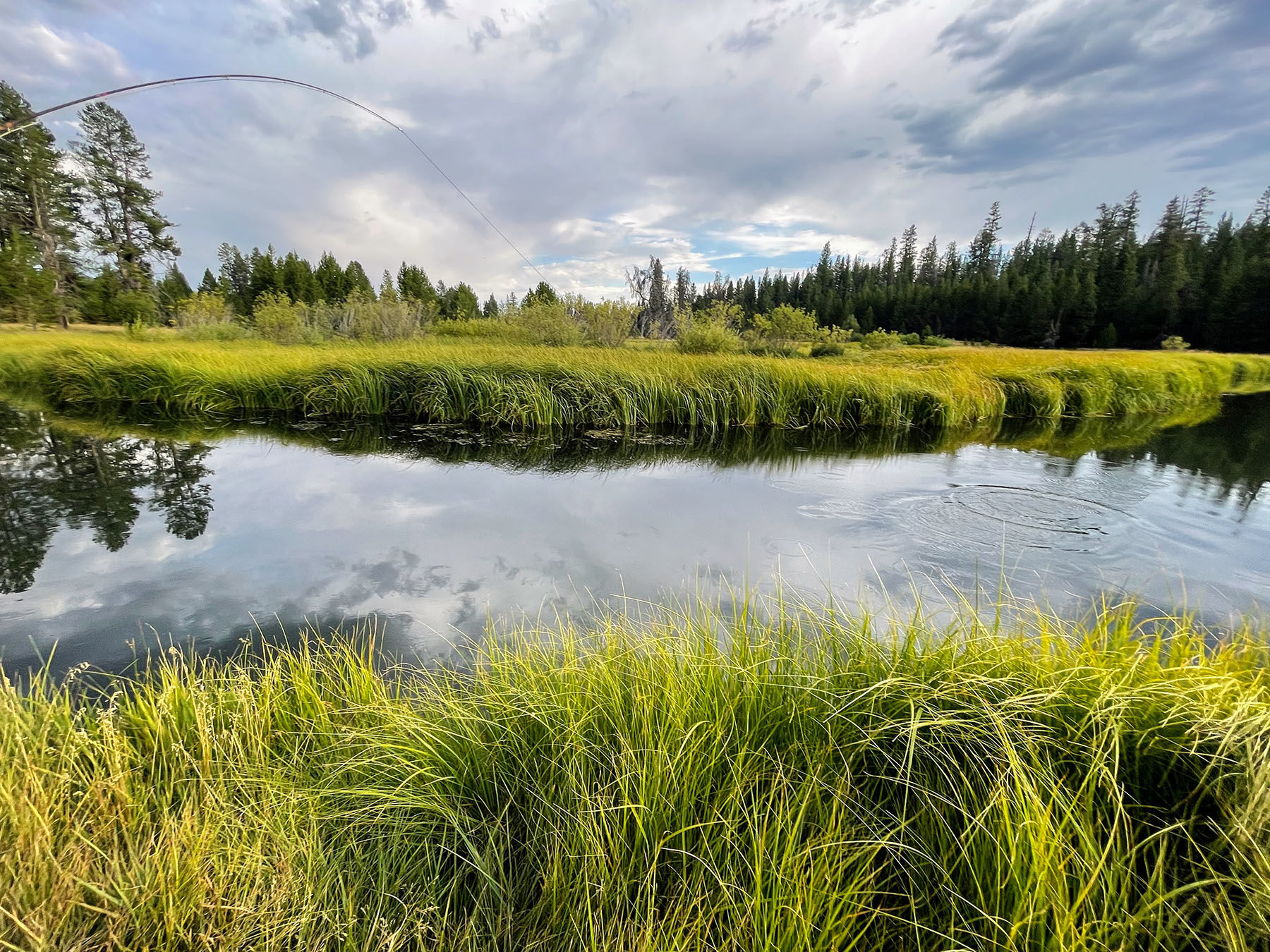 Sand Creek Ranch property picture 17 of 77
