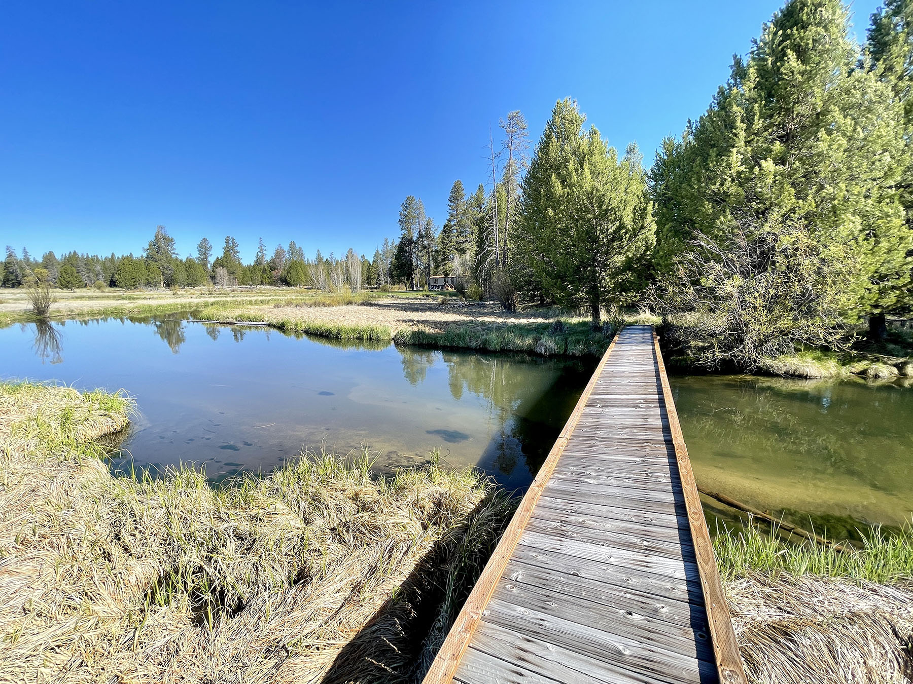 Sand Creek Ranch property picture 59 of 77