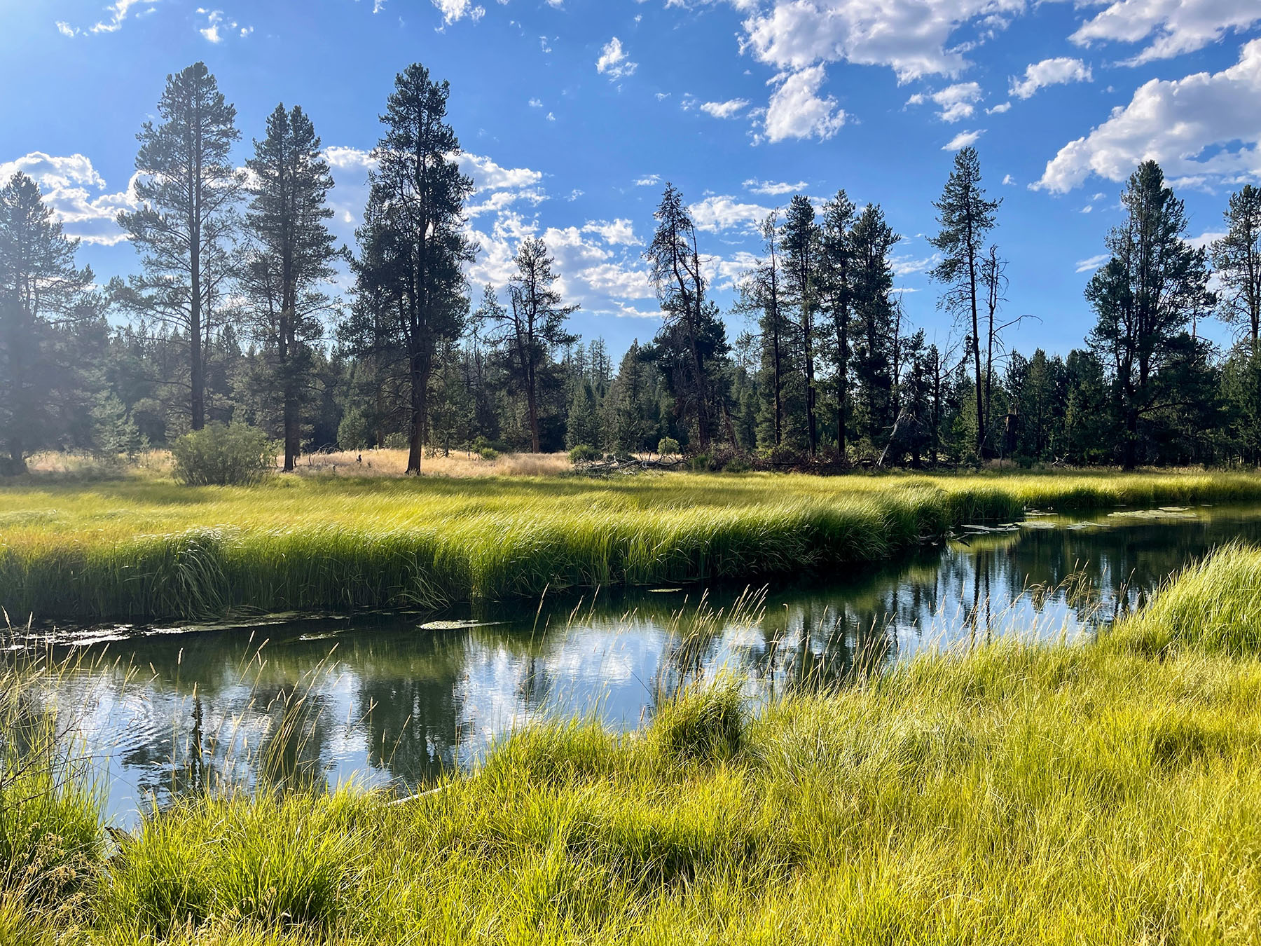 Sand Creek Ranch property picture 11 of 77