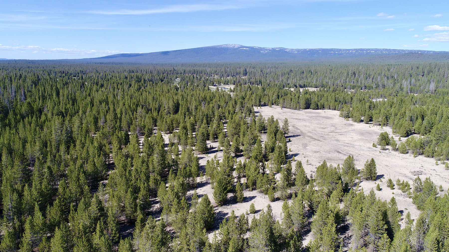 Sand Creek Ranch property picture 63 of 77