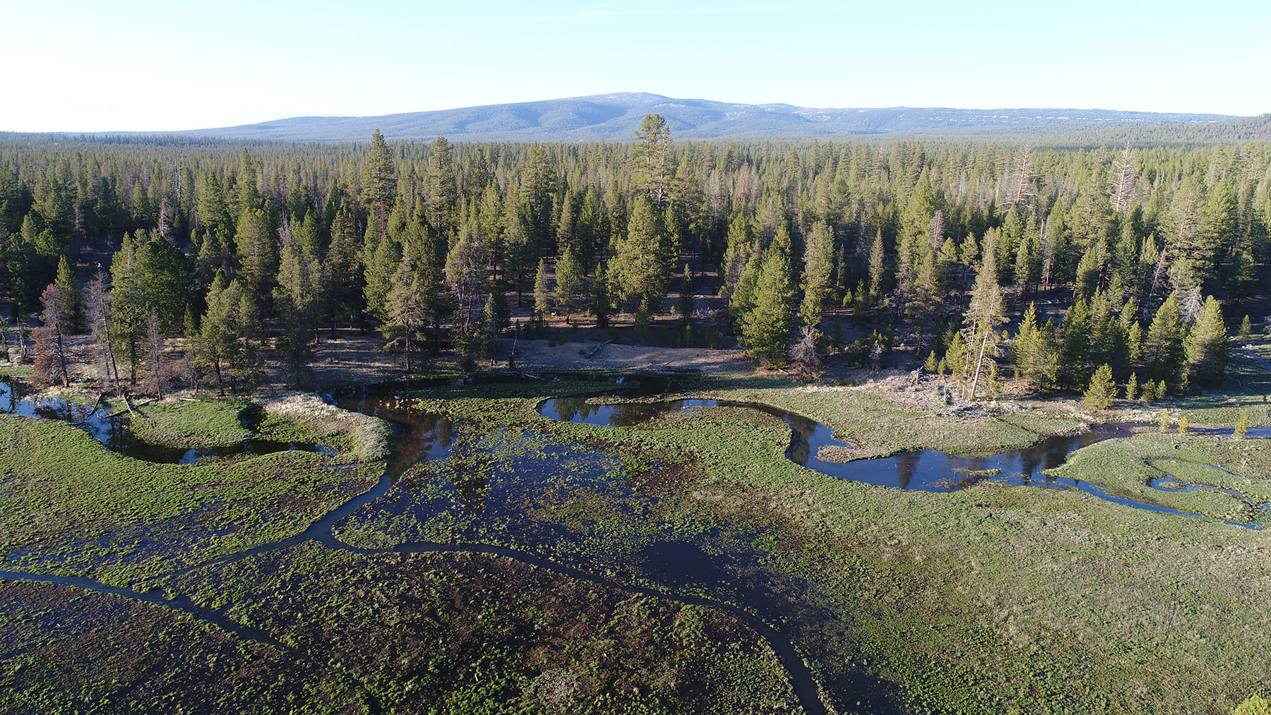 Sand Creek Ranch property picture 65 of 77