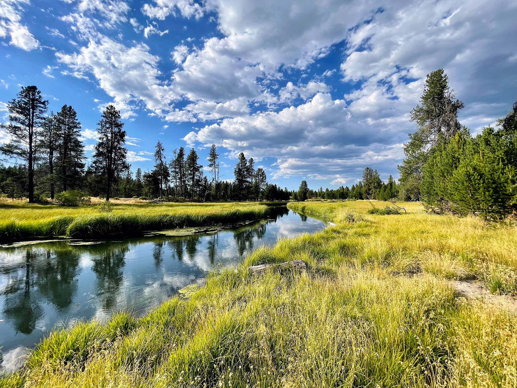 Sand Creek Ranch property picture 10 of 77