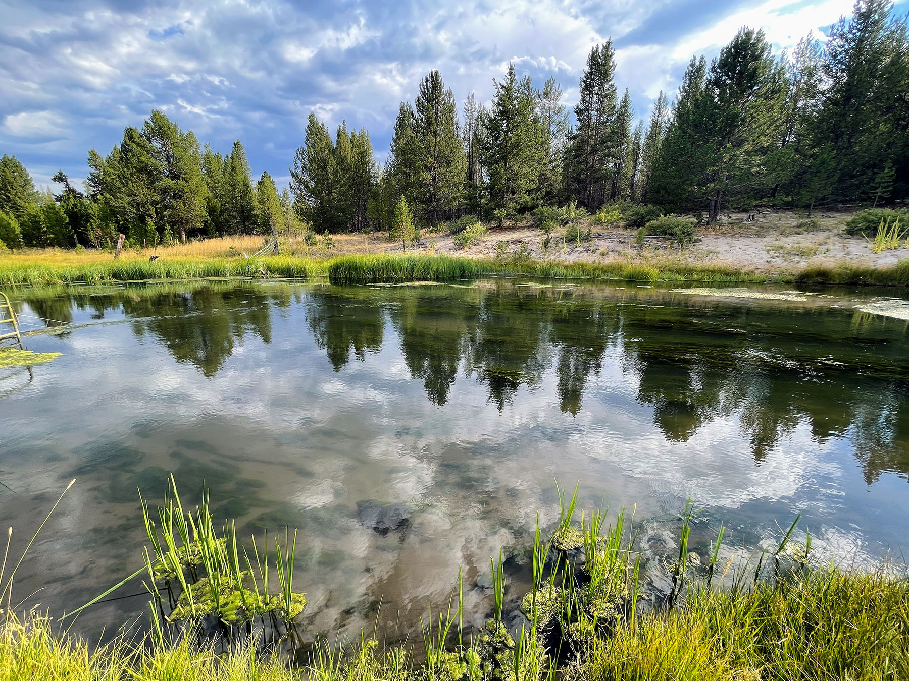 Sand Creek Ranch property picture 9 of 77