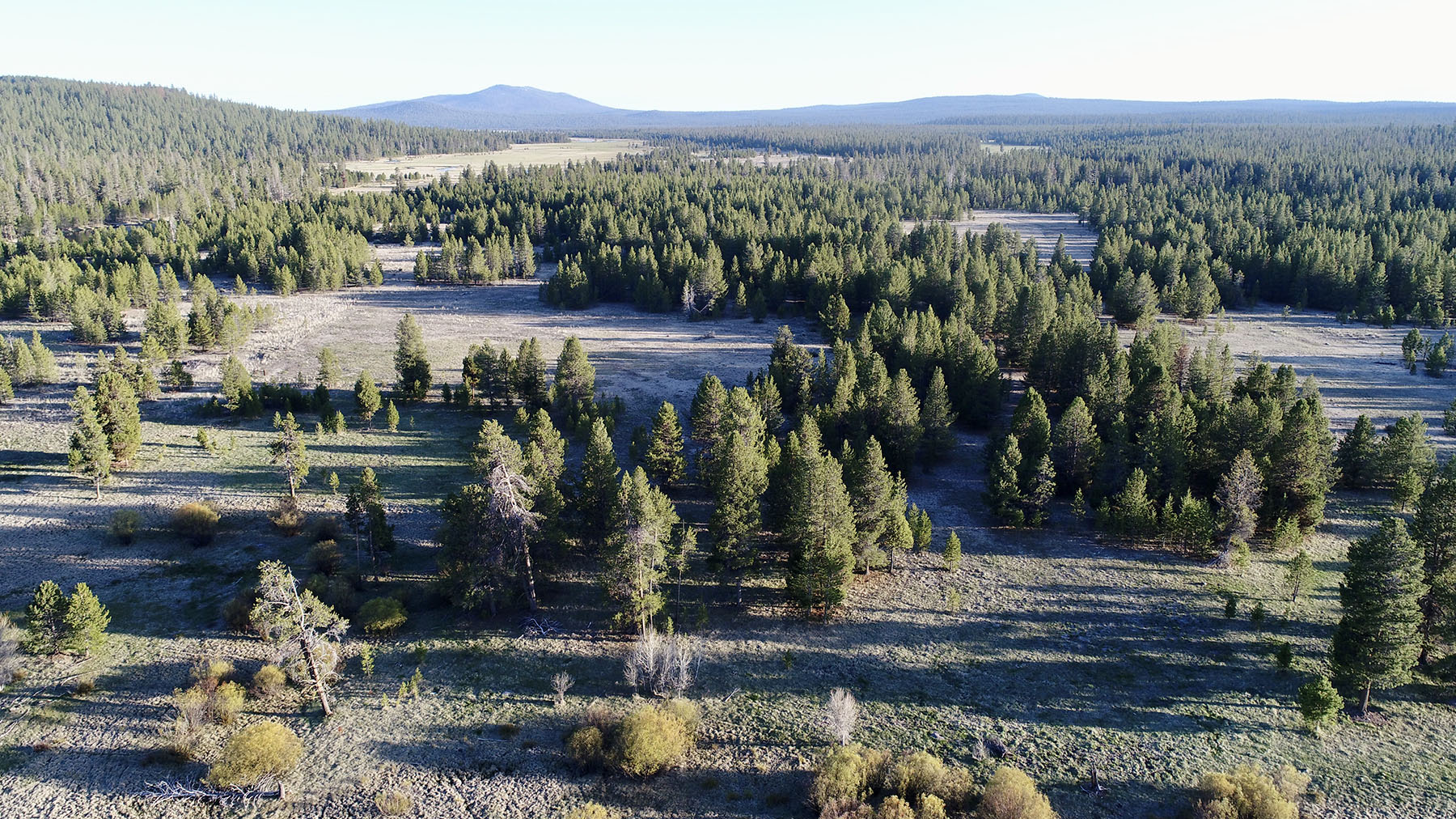 Sand Creek Ranch property picture 66 of 77