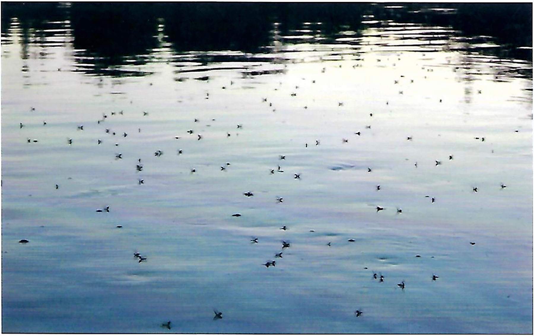 Sand Creek Ranch property picture 37 of 77