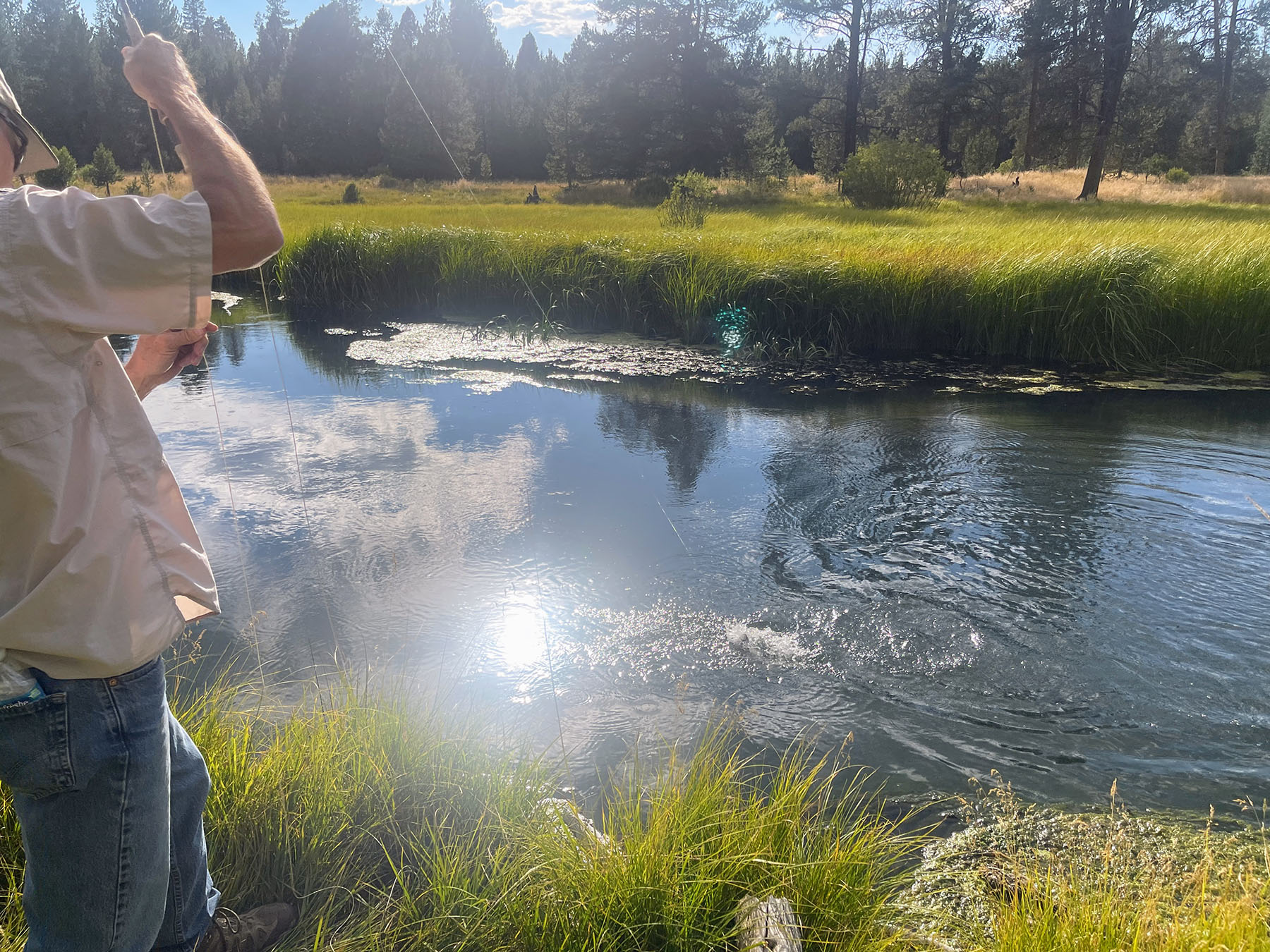 Sand Creek Ranch property picture 22 of 77