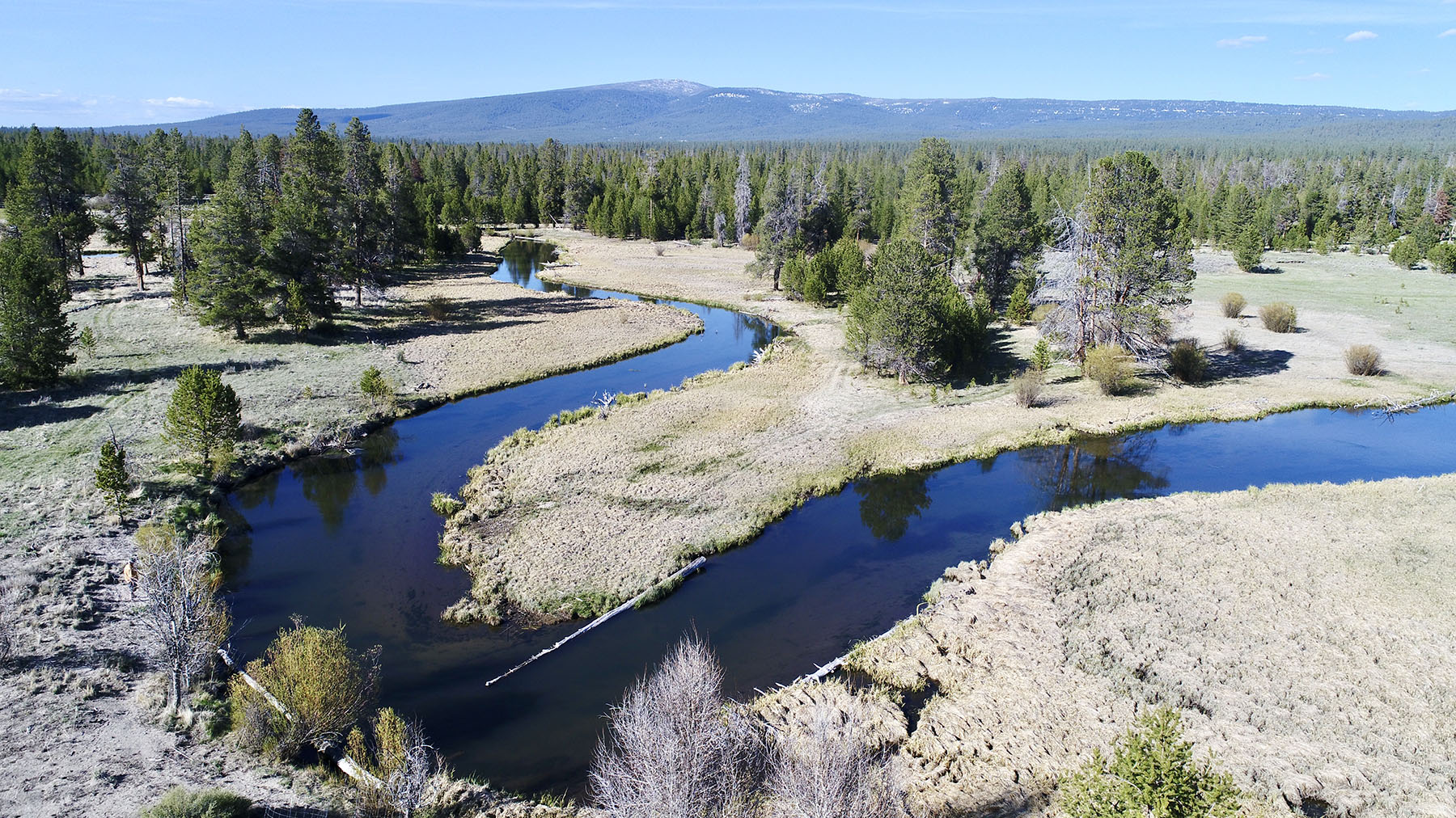 Sand Creek Ranch property picture 61 of 77