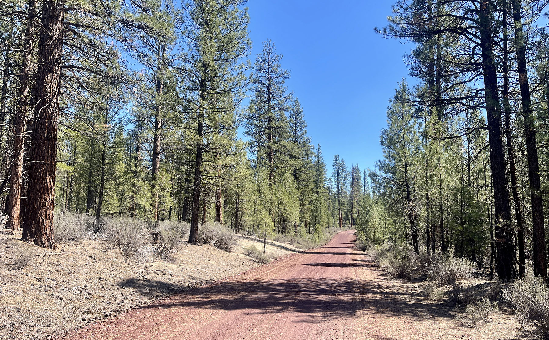 Sand Creek Ranch property picture 58 of 77