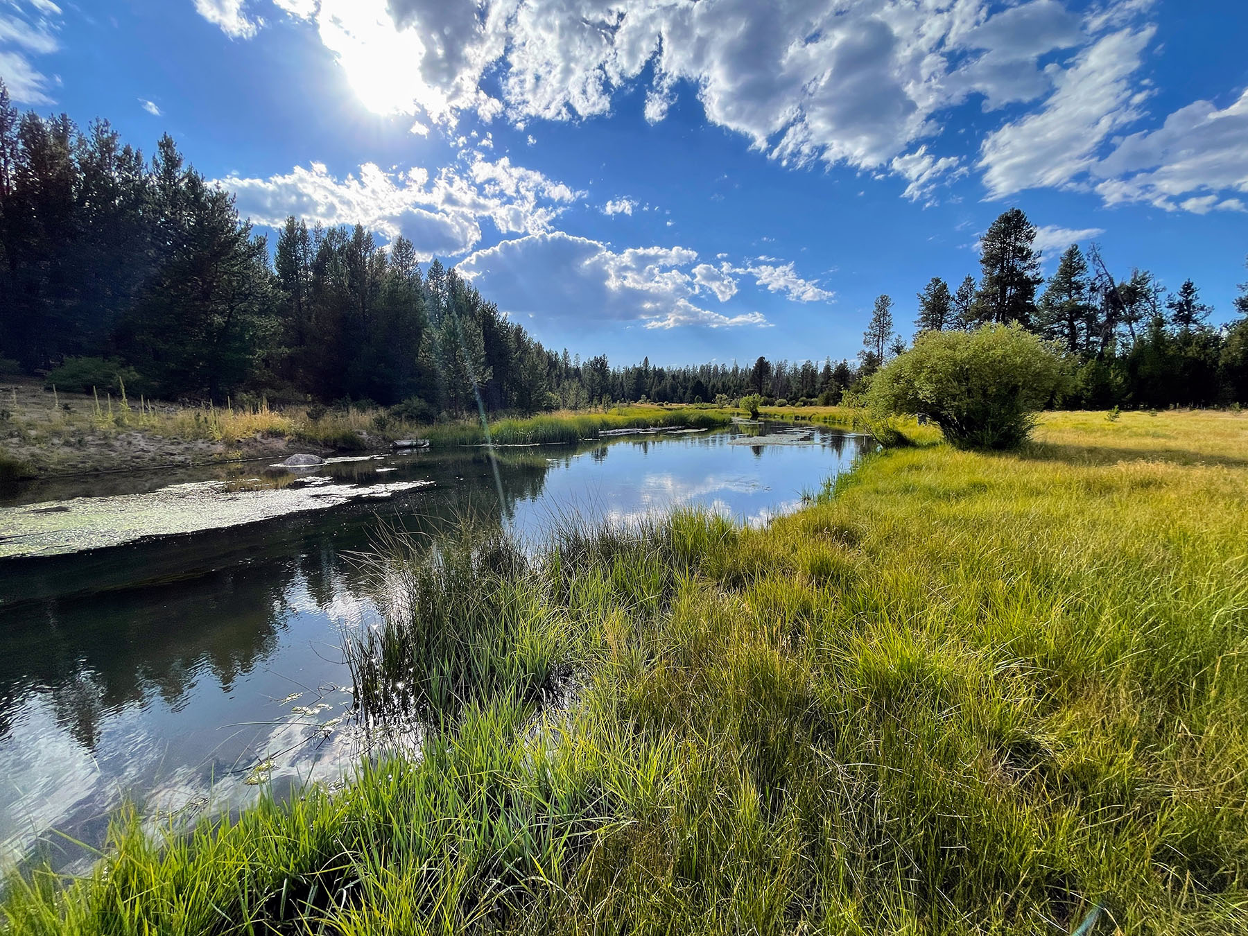 Sand Creek Ranch property picture 8 of 77