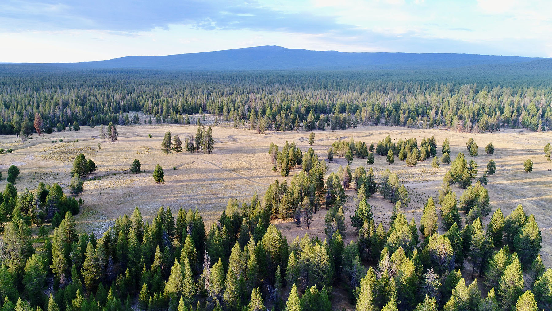 Sand Creek Ranch property picture 69 of 77