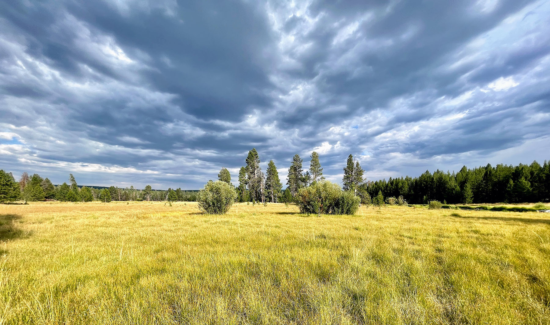 Sand Creek Ranch property picture 13 of 77