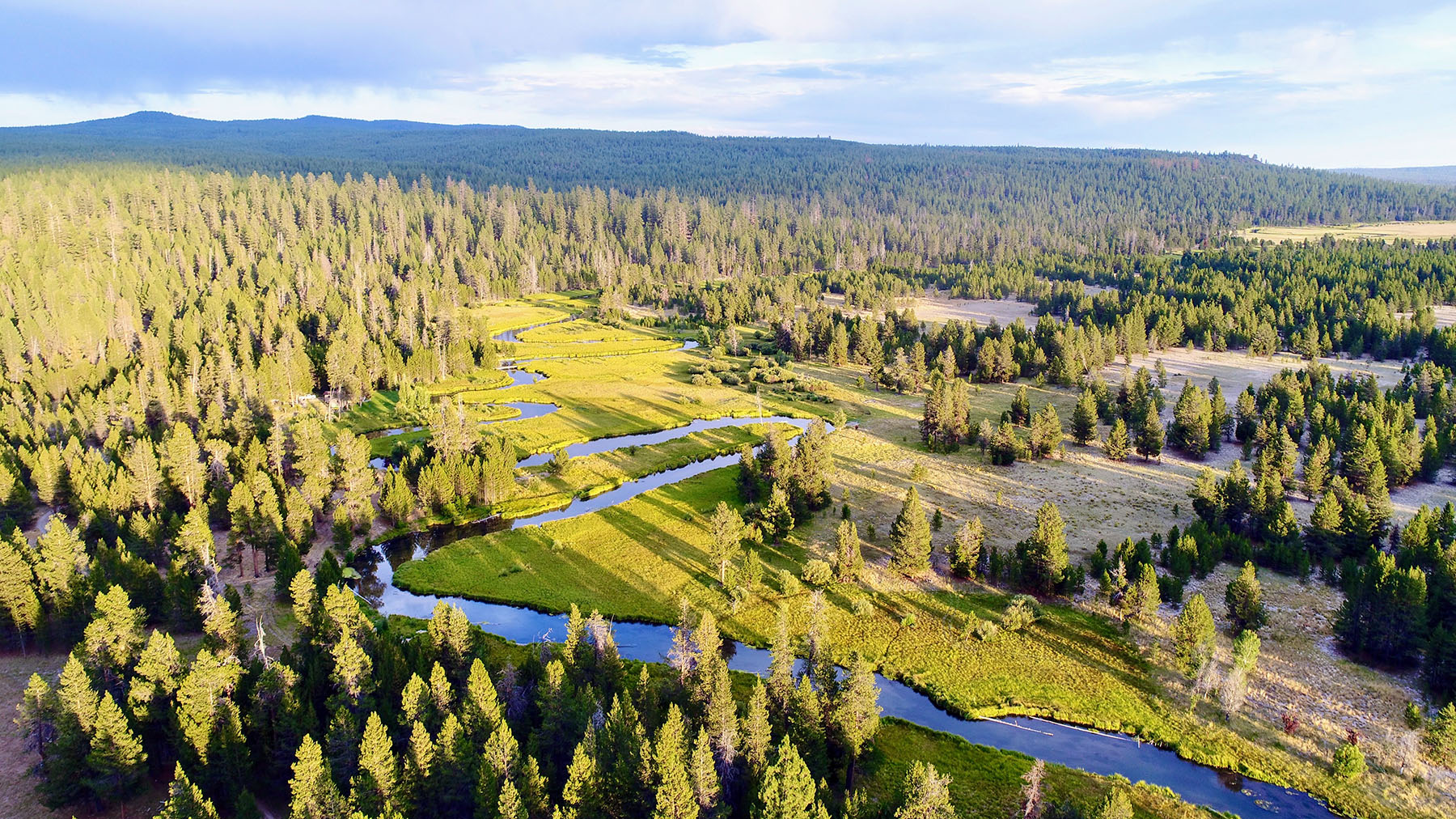Sand Creek Ranch property picture 3 of 77