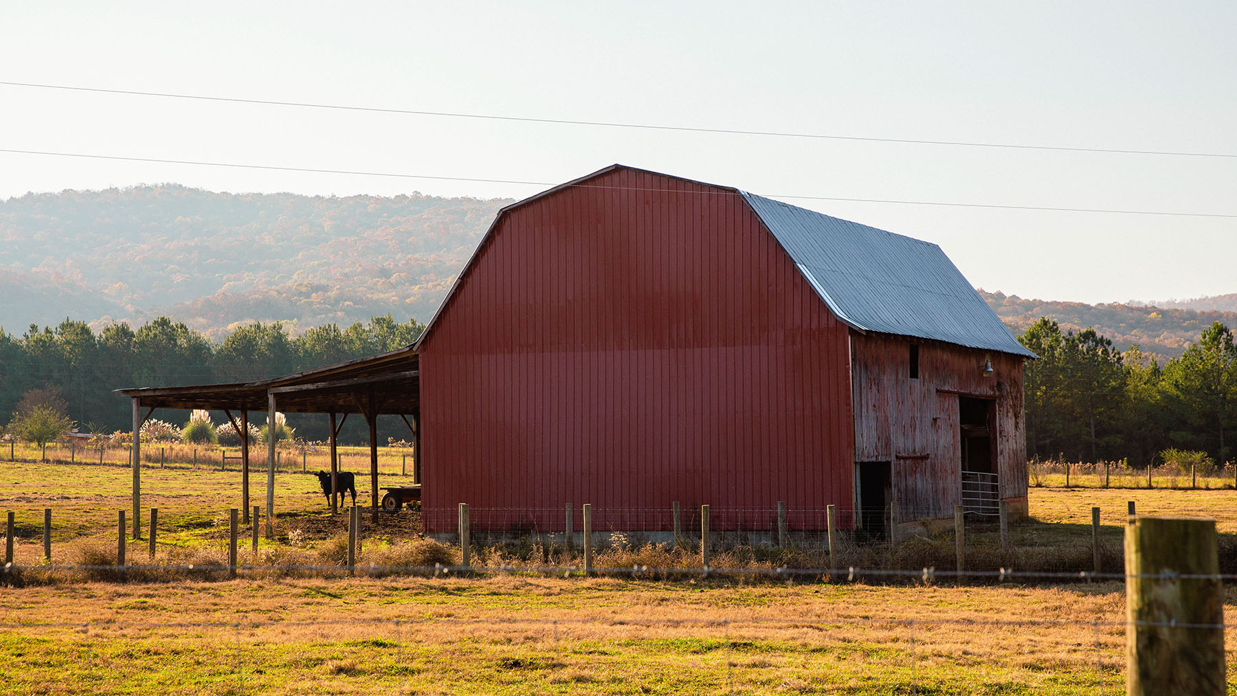 Keith Springs Mountain property picture 35 of 59