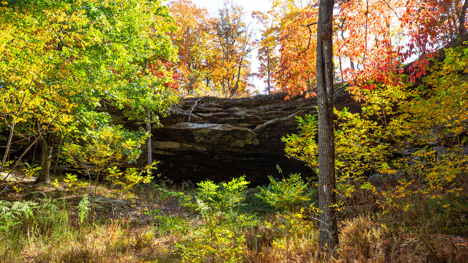 Keith Springs Mountain property picture 23 of 59