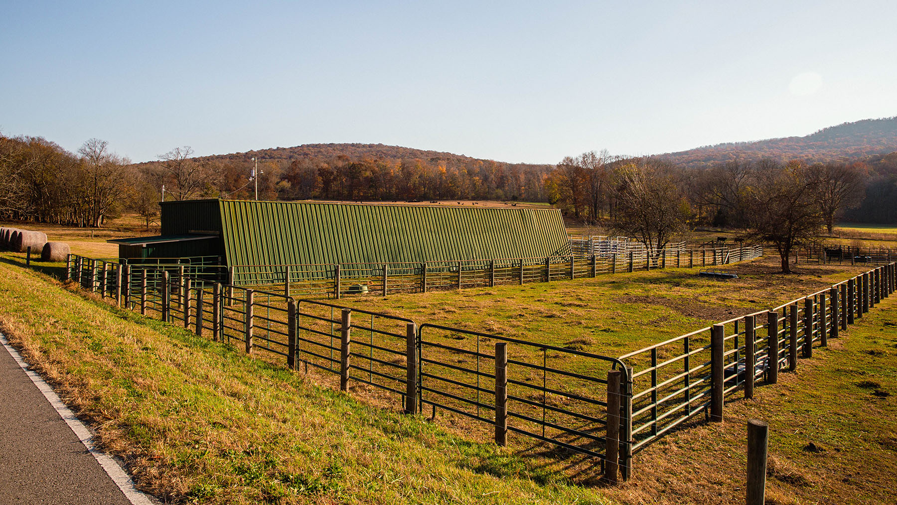 Keith Springs Mountain property picture 37 of 59