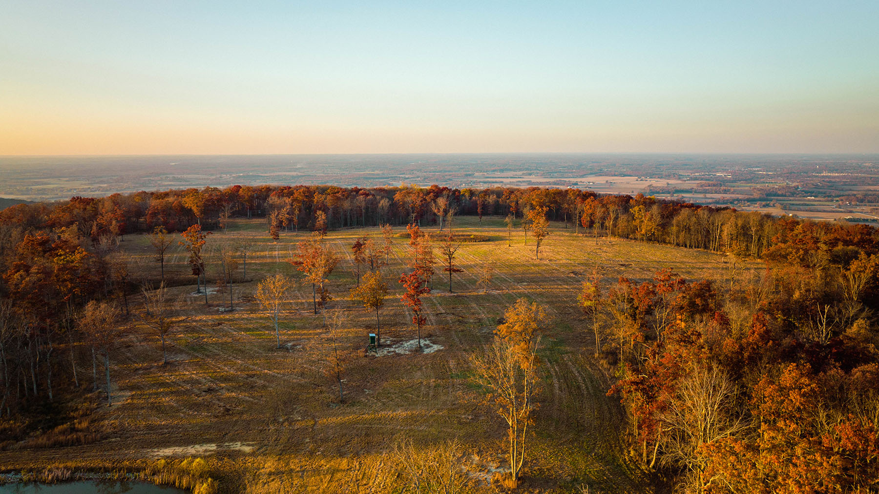 Keith Springs Mountain property picture 58 of 59