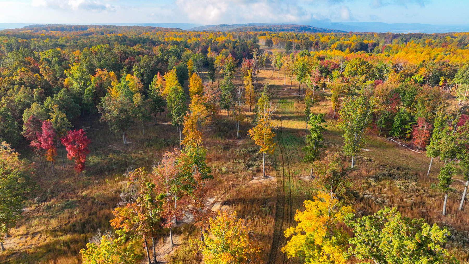 Keith Springs Mountain property picture 11 of 59