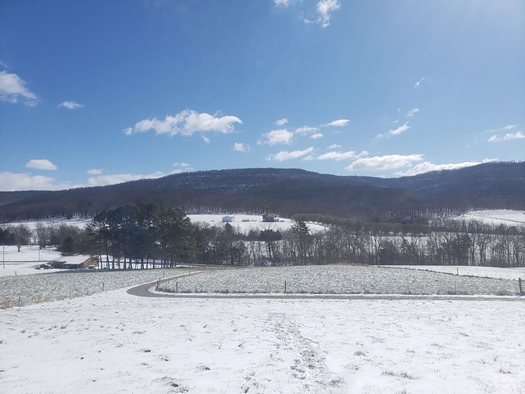 Keith Springs Mountain property picture 44 of 59