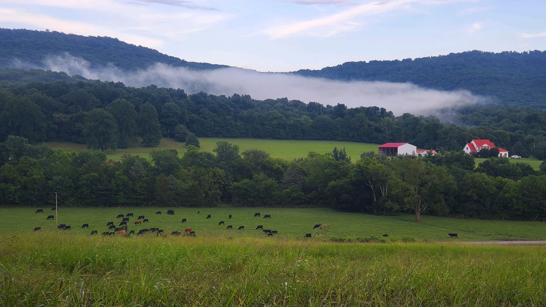 Keith Springs Mountain property picture 5 of 59