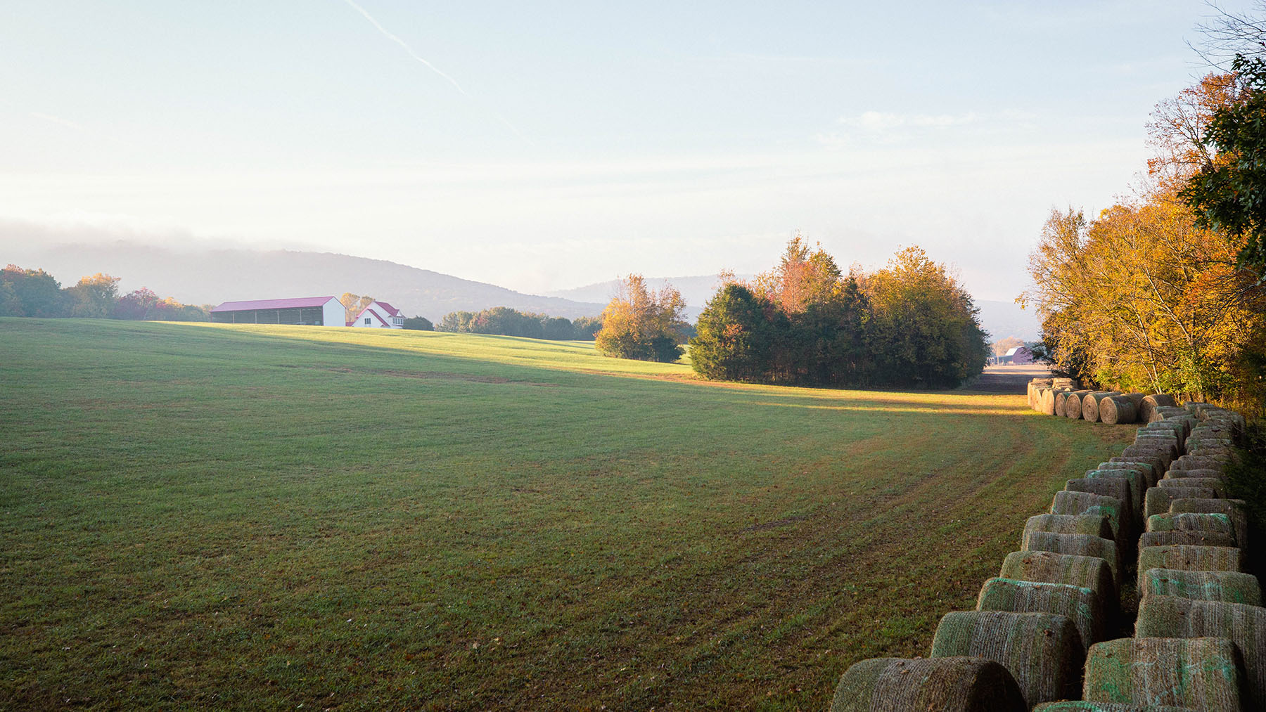 Keith Springs Mountain property picture 9 of 59