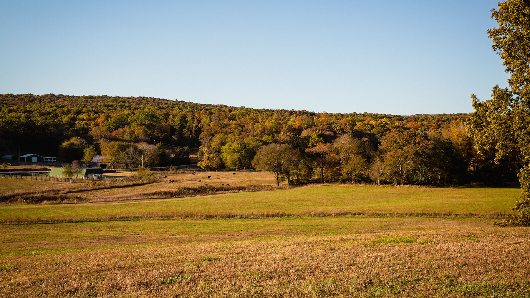 Keith Springs Mountain property picture 56 of 59