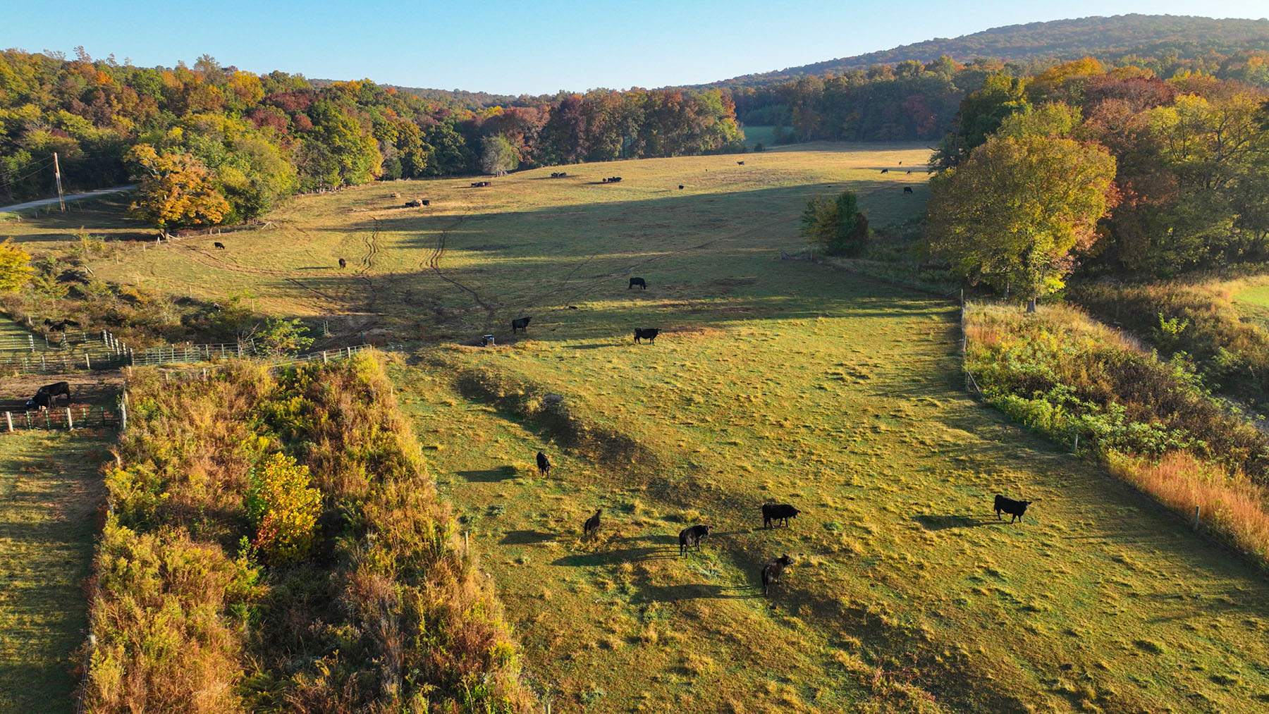Keith Springs Mountain property picture 8 of 59