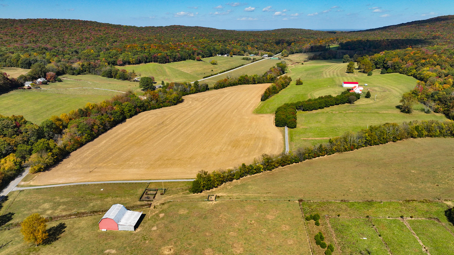 Keith Springs Mountain property picture 7 of 59