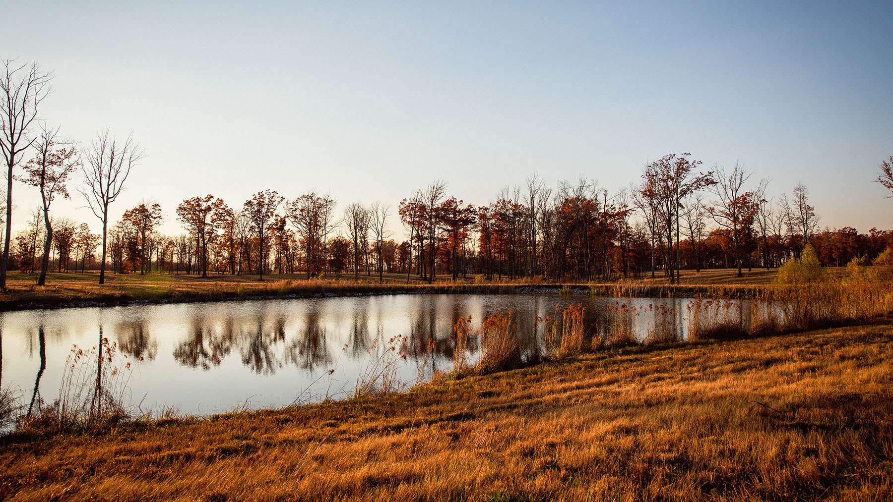 Keith Springs Mountain property picture 17 of 59