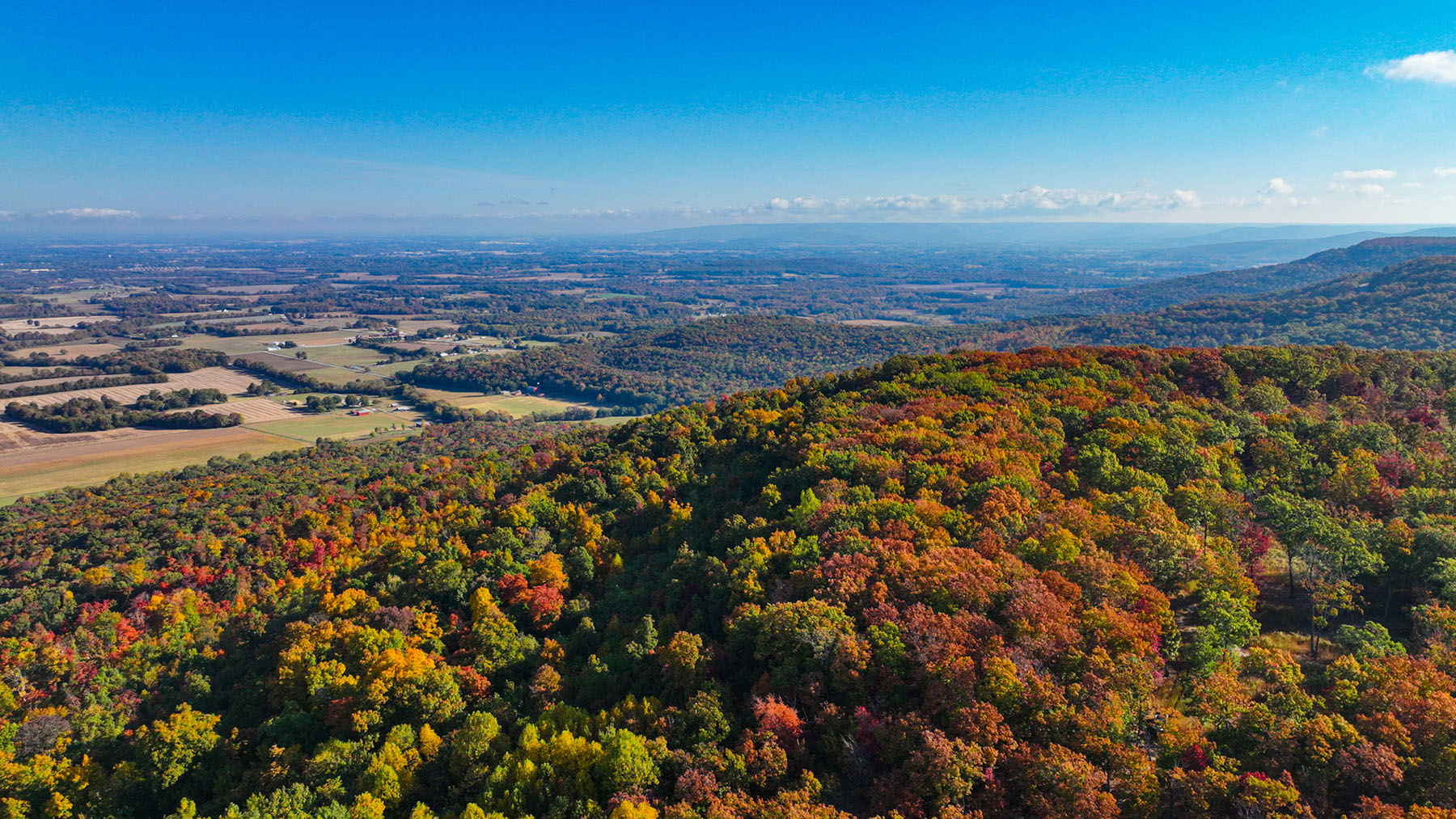 Keith Springs Mountain property picture 51 of 59