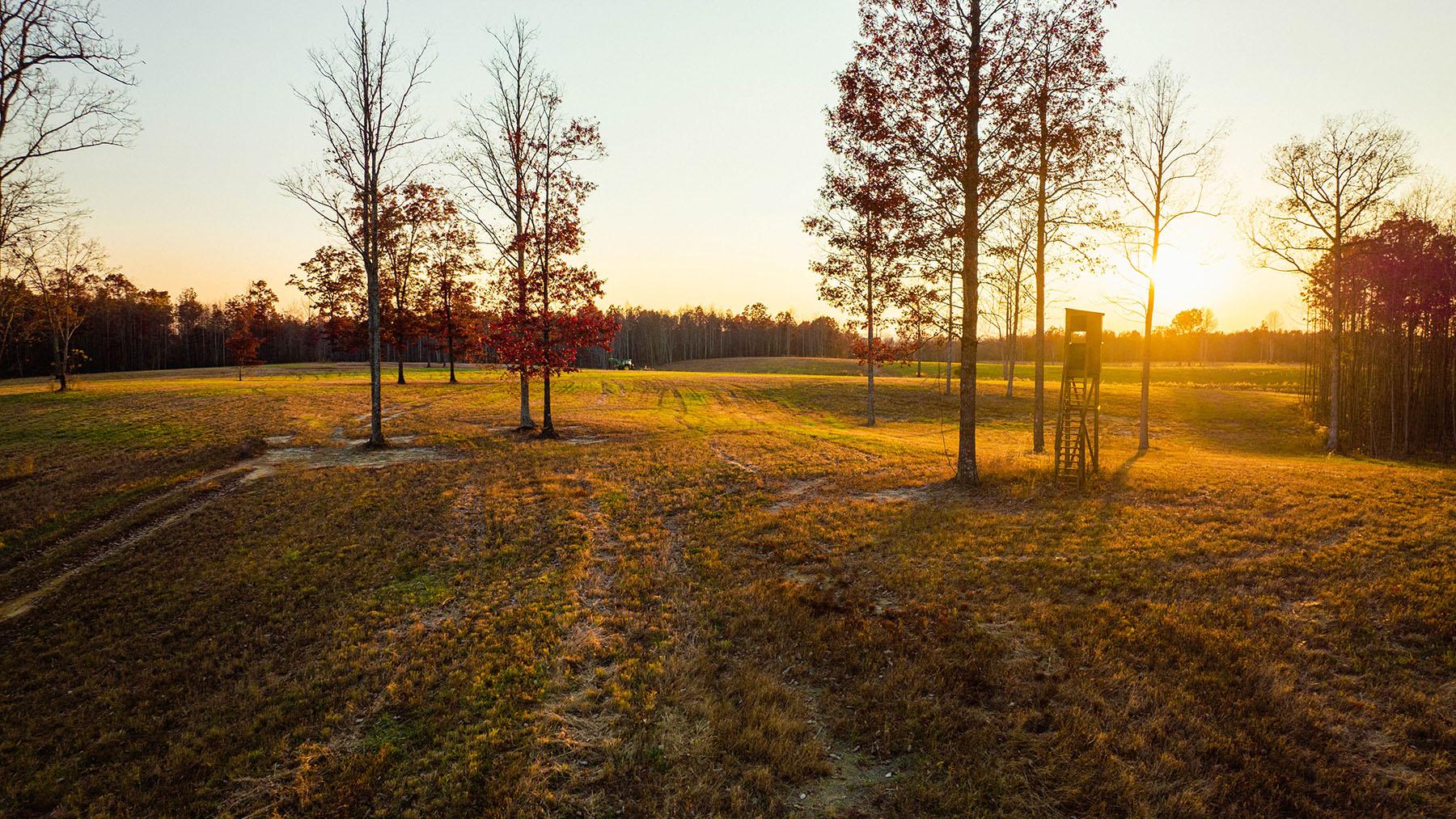 Keith Springs Mountain property picture 18 of 59