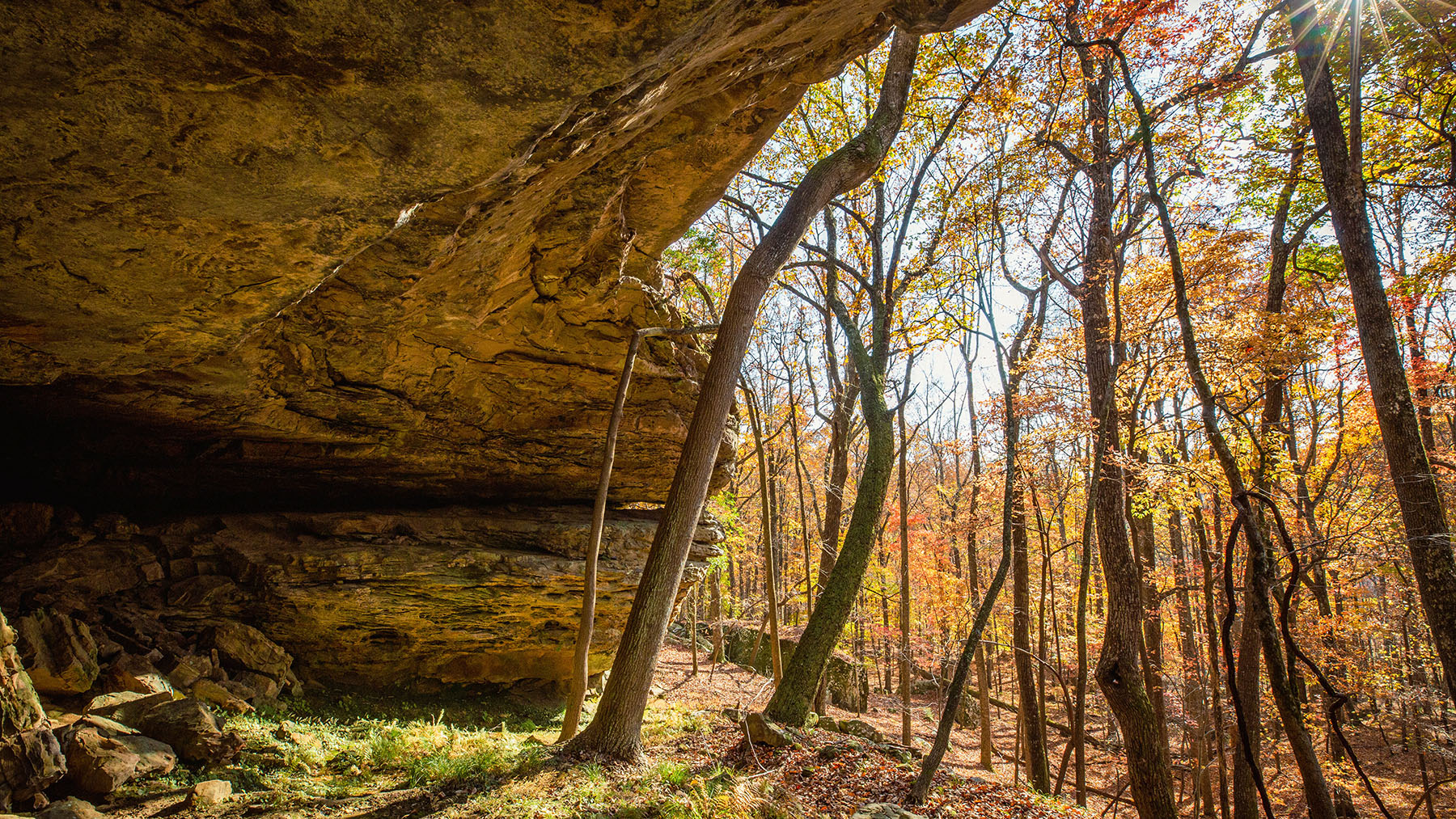 Keith Springs Mountain property picture 26 of 59