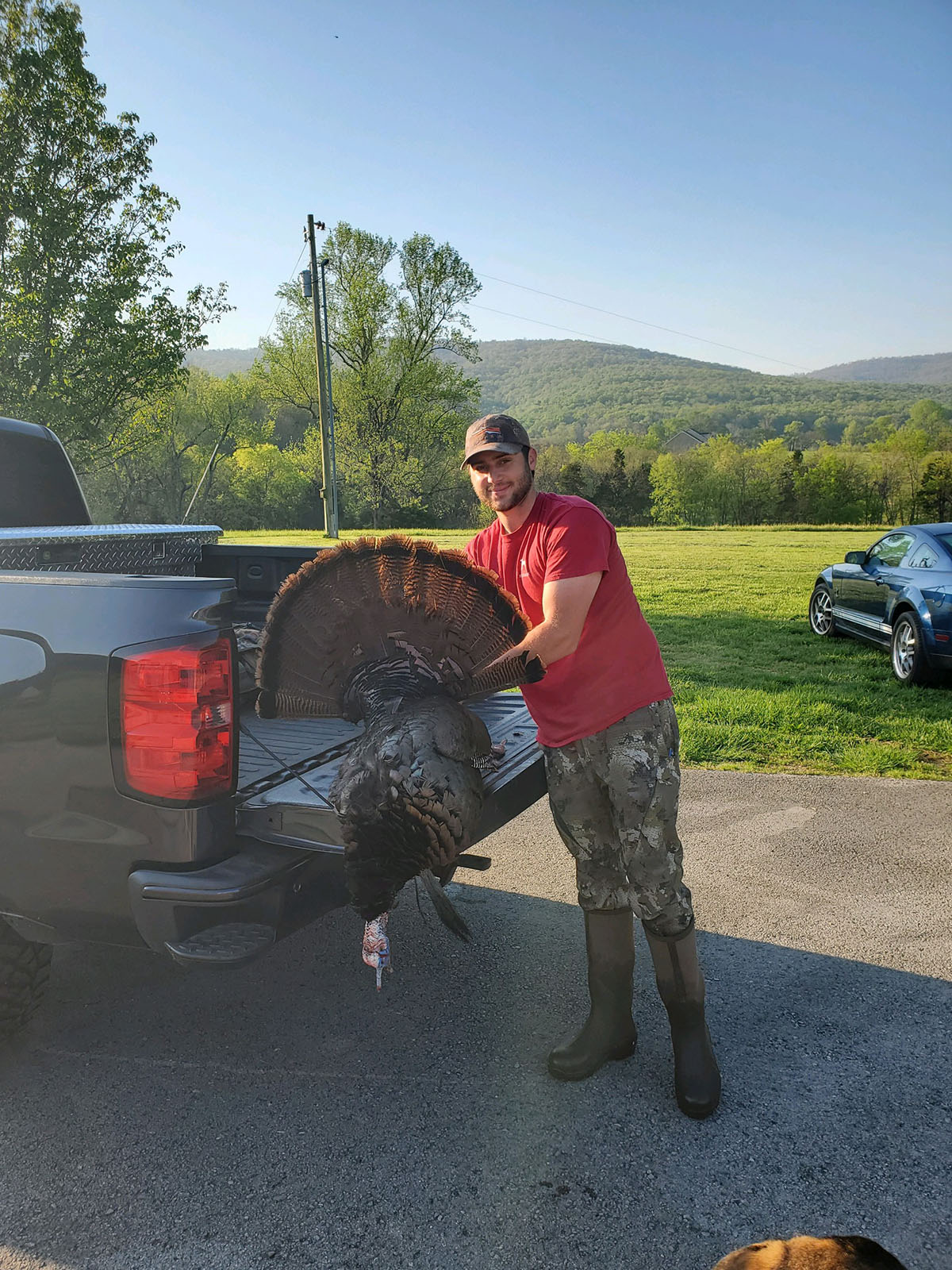 Keith Springs Mountain property picture 1 of 59