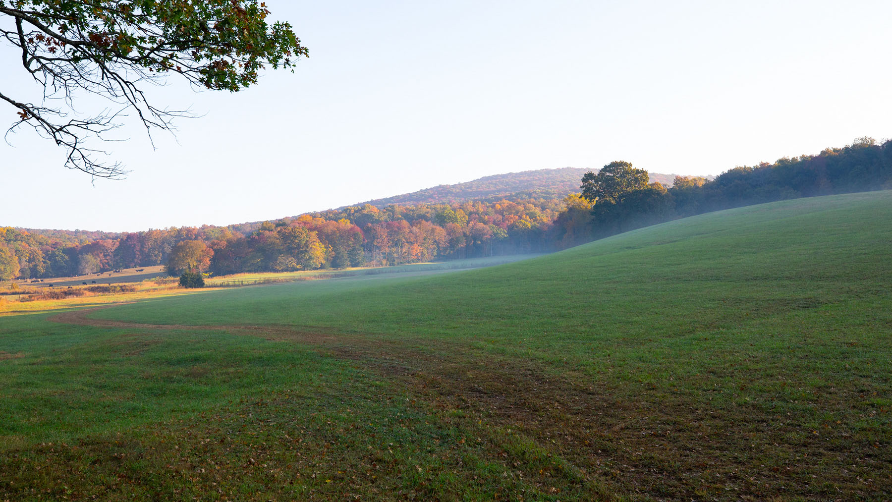 Keith Springs Mountain property picture 38 of 59