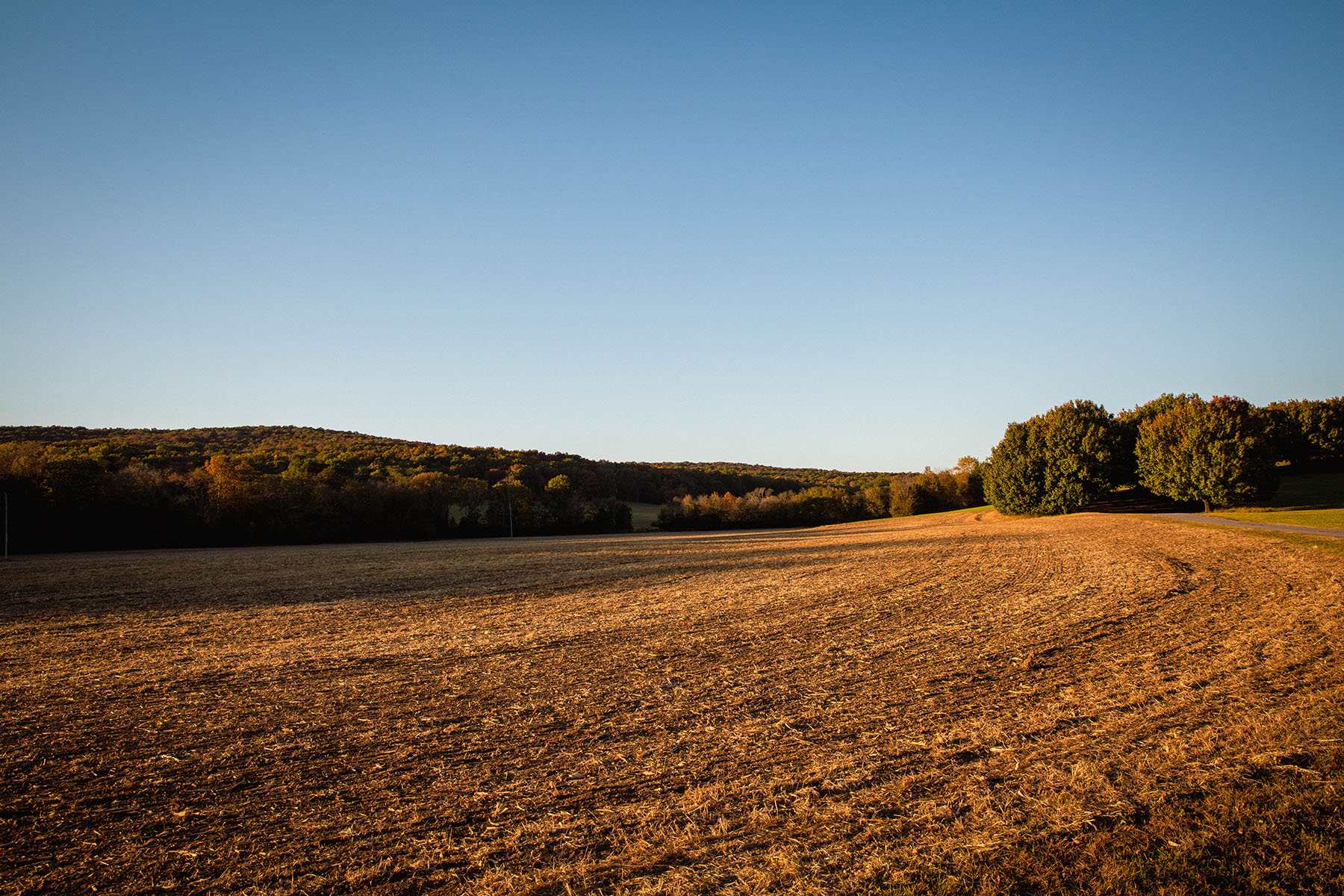 Keith Springs Mountain property picture 55 of 59