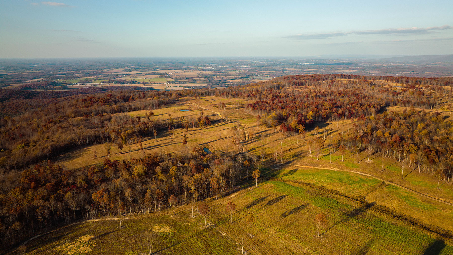 Keith Springs Mountain property picture 52 of 59