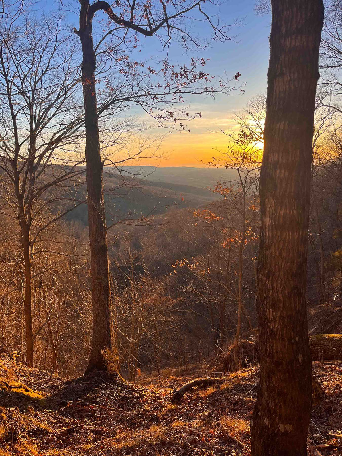 Keith Springs Mountain property picture 12 of 59