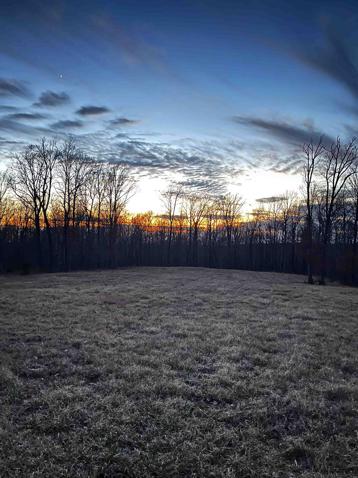 Keith Springs Mountain property picture 20 of 59