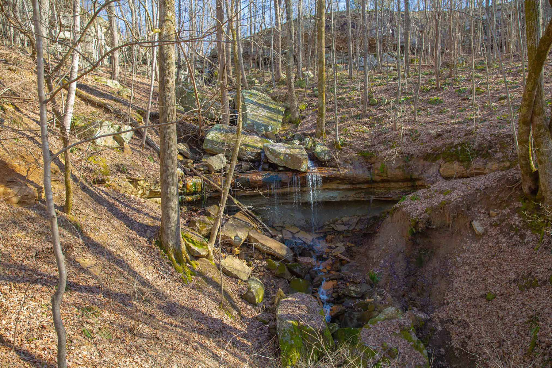 Keith Springs Mountain property picture 13 of 59