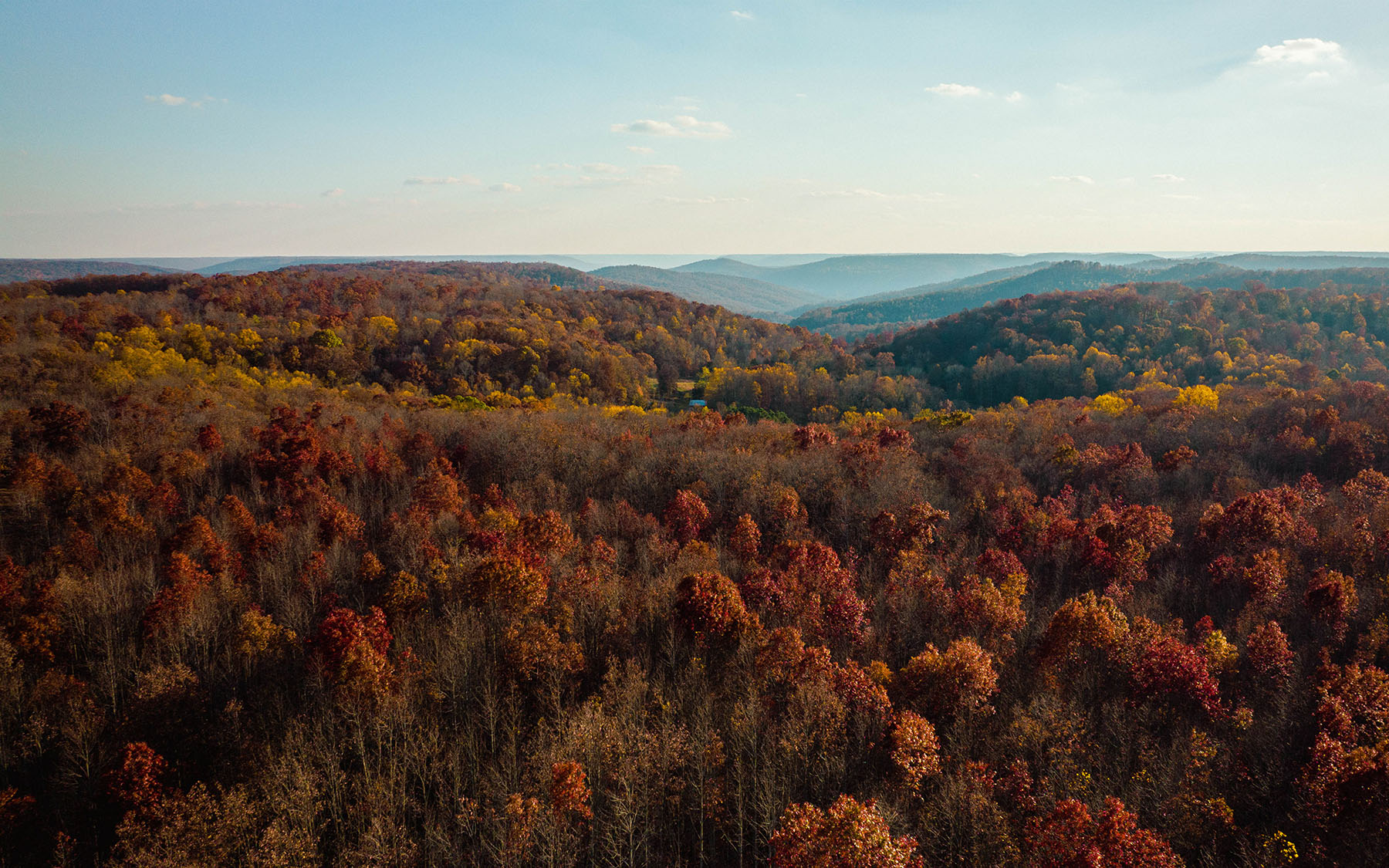 Keith Springs Mountain property picture 10 of 59