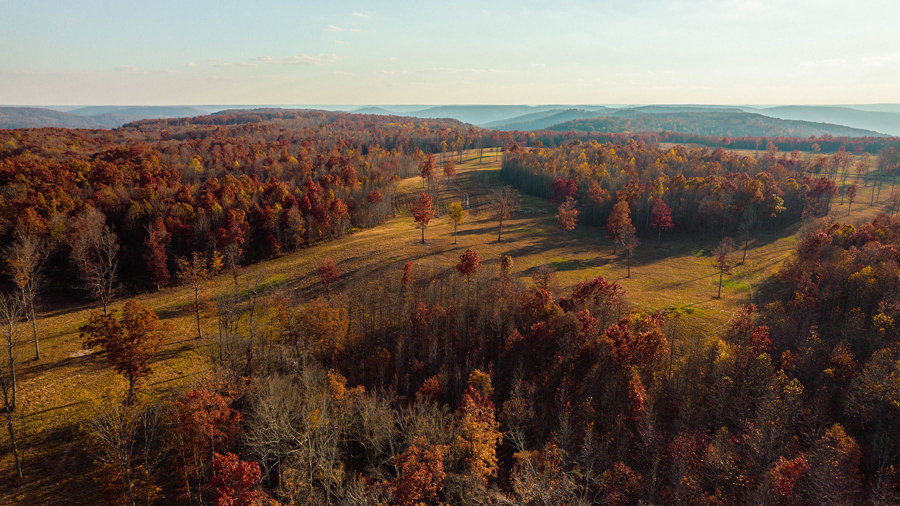 Keith Springs Mountain property picture 49 of 59
