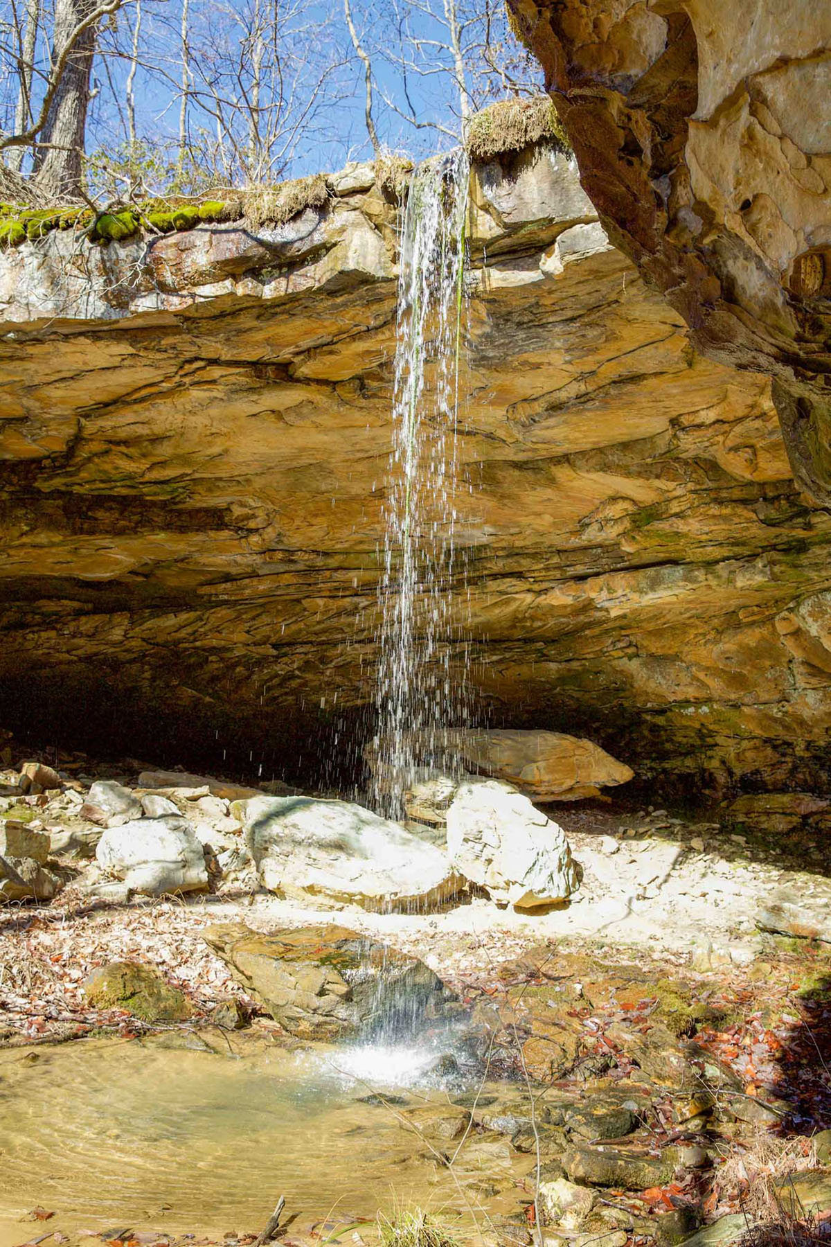 Keith Springs Mountain property picture 24 of 59