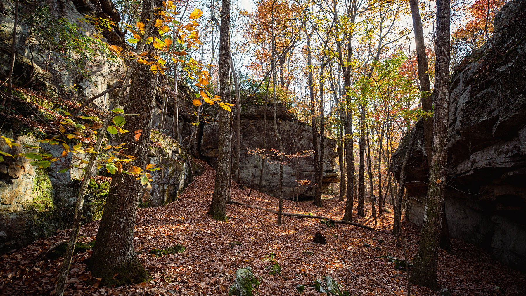 Keith Springs Mountain property picture 48 of 59