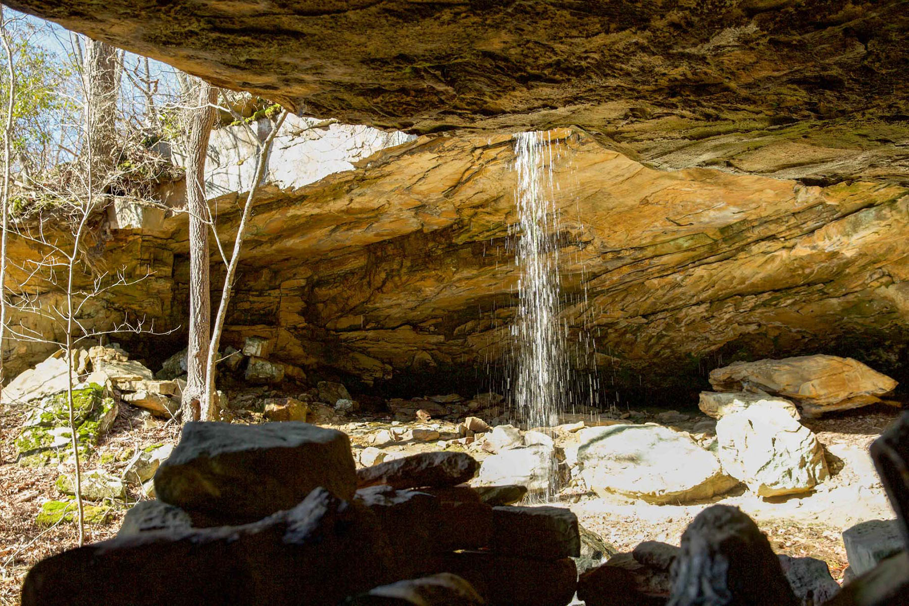 Keith Springs Mountain property picture 27 of 59