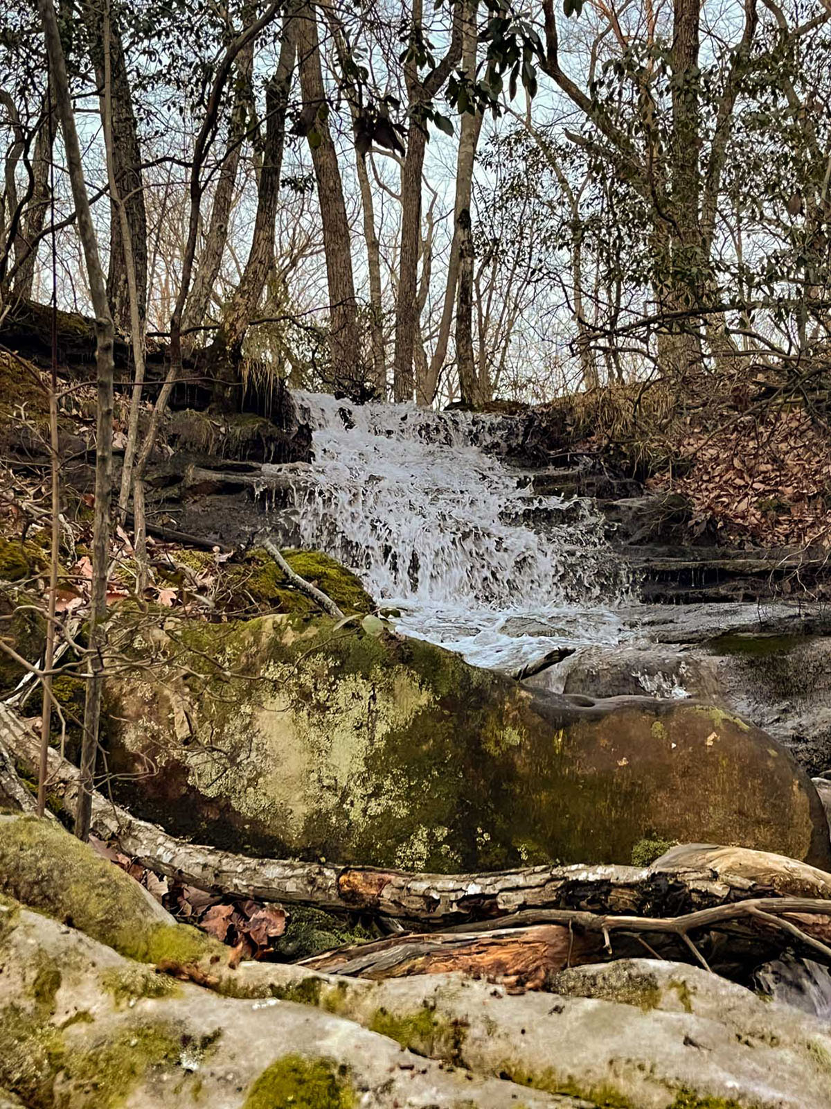 Keith Springs Mountain property picture 22 of 59