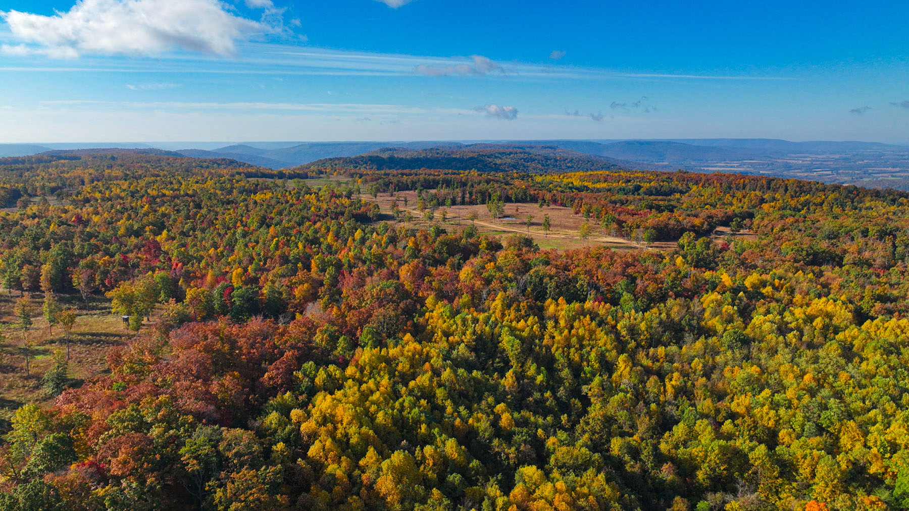 Keith Springs Mountain property picture 15 of 59